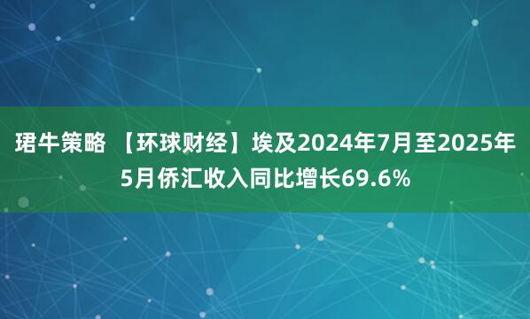 珺牛策略 【环球财经】埃及2024年7月至2025年5月侨汇收入同比增长69.6%