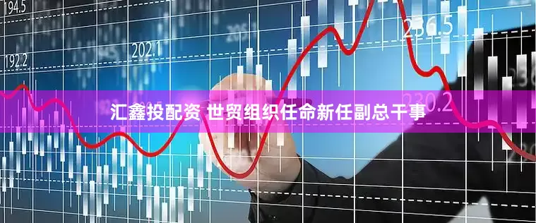 汇鑫投配资 世贸组织任命新任副总干事