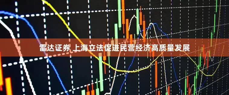 雷达证券 上海立法促进民营经济高质量发展