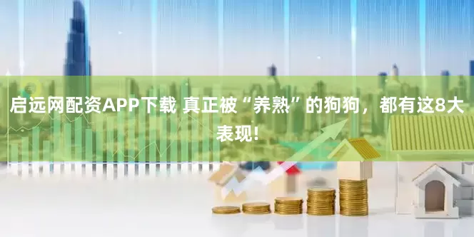 启远网配资APP下载 真正被“养熟”的狗狗，都有这8大表现!